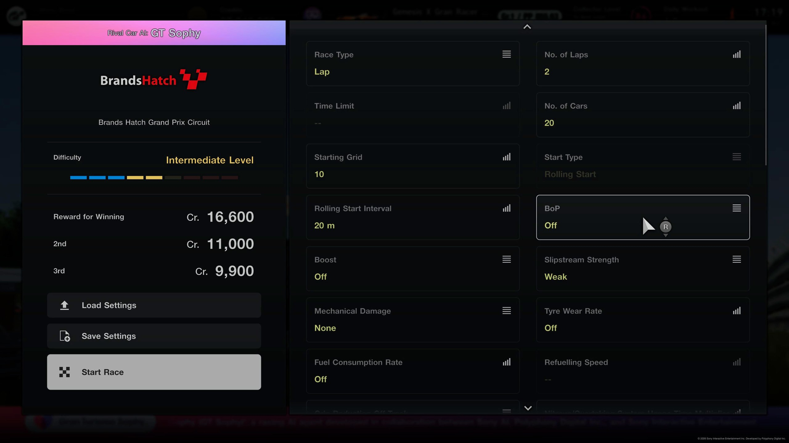 A Custom Race's settings, with BoP among them.